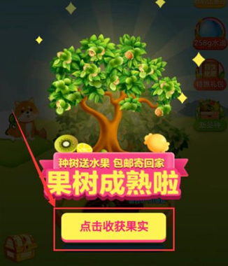 拼多多果园水果成熟后怎么兑换水果-拼多多果园水果成熟后兑换水果的方法