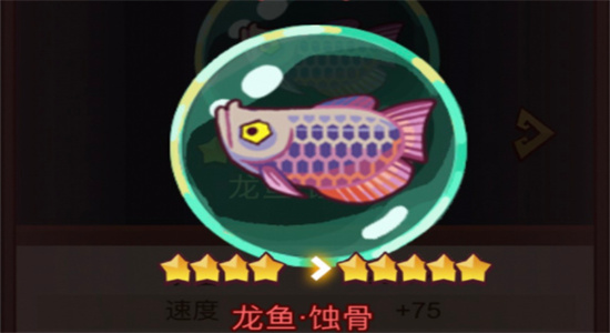 咸鱼之王赤羽怎么获得-咸鱼之王赤羽获取方法