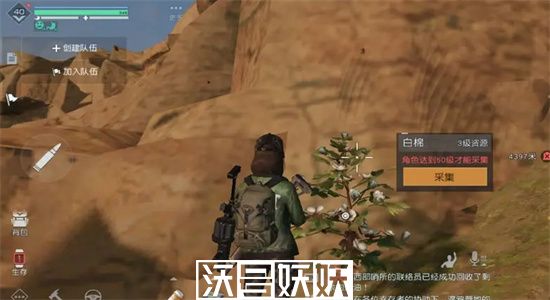 黎明觉醒草棉籽怎么获得-黎明觉醒草棉籽位置介绍