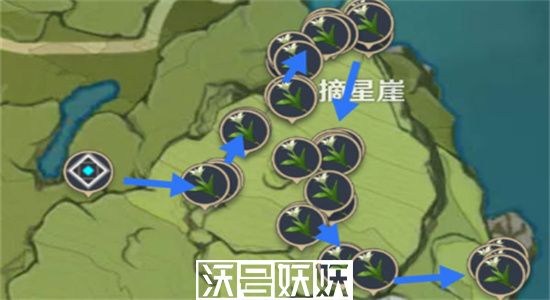 原神塞西莉亚花在哪里采集-原神塞西莉亚花采集分布图一览