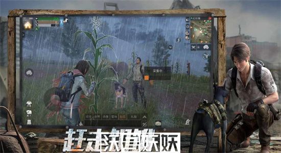 明日之后小树苗怎么获得-明日之后小树苗获取方法