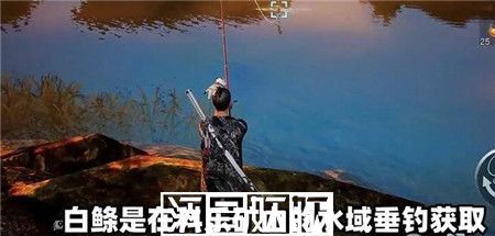 黎明觉醒油炸白鲦鱼怎么制作