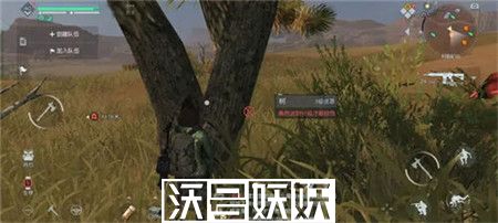 黎明觉醒生机杜松木在哪采