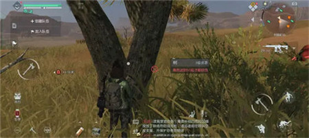 黎明觉醒生机杜松木在哪采-黎明觉醒生机杜松木采集位置分享