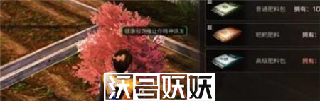 明日之后樱花获取方法是什么