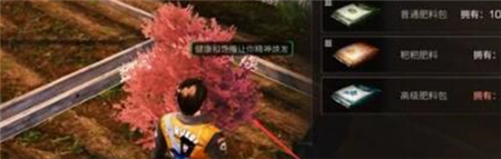 明日之后樱花获取方法是什么-明日之后樱花获取方法介绍