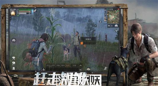 明日之后绿针怎么刷-明日之后绿针怎么获得