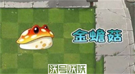 植物大战僵尸2金蟾菇怎么获得-植物大战僵尸2金蟾菇碎片获取方法
