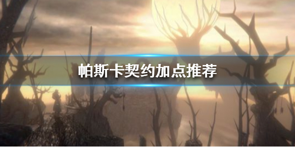 帕斯卡契约加点推荐 实用加点攻略