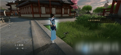 天涯明月刀手游洞中之人奇遇怎么触发 奇遇任务流程功能