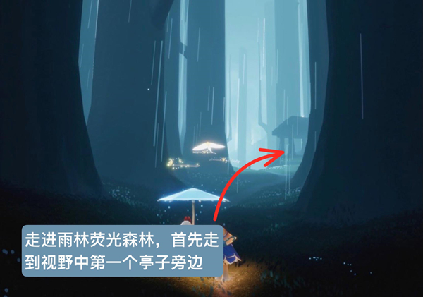 光遇雨林捉迷藏先祖在哪里 地点位置兑换图攻略