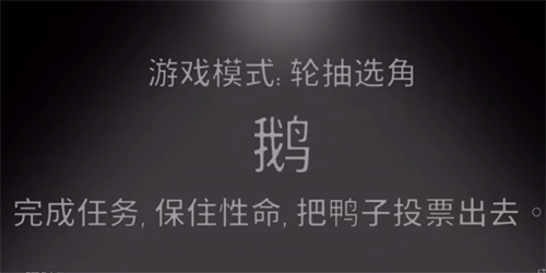 鹅鸭杀白板鹅有什么用 大白鹅作用介绍