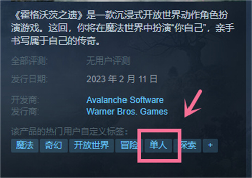 霍格沃茨之遗可以联机吗 游戏类型介绍