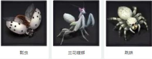 小小蚁国资源怎么获取