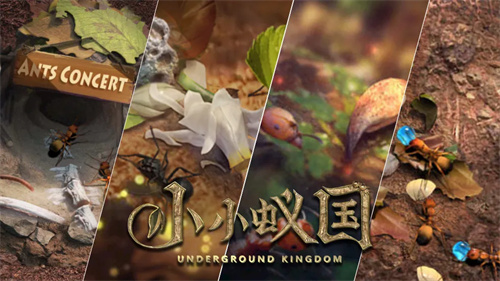 小小蚁国是哪个公司的