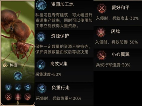 小小蚁国蚂蚁习性介绍