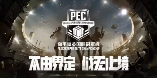 和平精英职业联赛叫什么