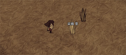 饥荒怎么制作火把 火把制作方法介绍