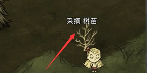 饥荒捕虫网怎么合成